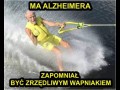 Dobry dziadek d