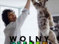Wolny piątek