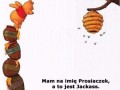Prosiaczek w jackassie