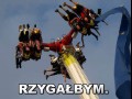 Rzygałbym