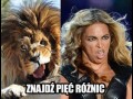 Znajdź pięć różnic