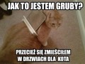 Czas na dietę