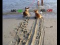 Jak działa abs