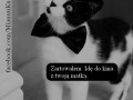 Przybyłem aby urwatować cię