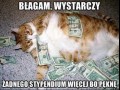 Błagam wystarczy