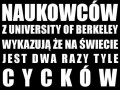 Czas sprawdzić