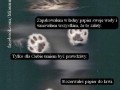 Sprzedałem siebie tak wiele razy