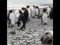 Surprise