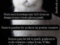 Konsumpcyjny tryb