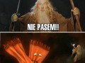 You szalik not pasek