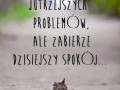 Ale dlaczego tam jest kotek