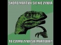 Martwi się nie żywią