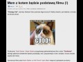 Grumpty cat