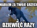 Koteu za ciebie umar