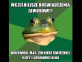 Wcześniejsze doświadczenia zawodowe