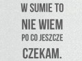 W sumie to