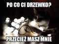 Chonikotek