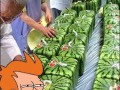 Minecraft  japan
