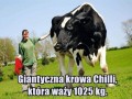 Największa na świecie