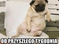 Dietę zaczynam