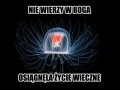 Ah te parzydełkowce