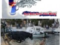Red bull  black bull