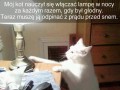 Nauczył się skubany