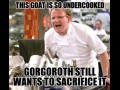 Gorgoroth