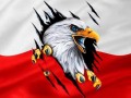 Gorzki komentarz do postępowania polskiego rzadu w kwestii polaków na litwie