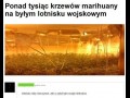 Odlot gwarantowany
