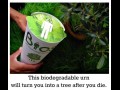 Bio urn