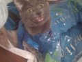 I am the water