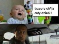 Na tapczanie siedzi leń