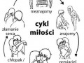 Cykl miłości