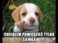 Tylko chciałem