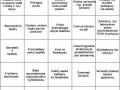 Studenckie bingo