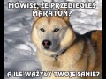 Maraton