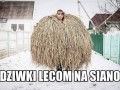 Siano to podstawa