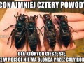 Nie jest tak źle