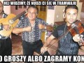 Gruzollica