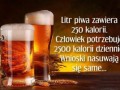 Moja nowa dieta