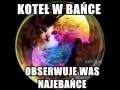 Koteł w bańce was obserwuje