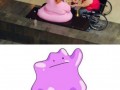 Ditto