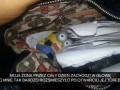 Rozwaliło mnie to