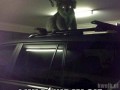 Wkurwiona koala