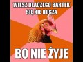 Bartek