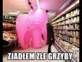 Zjadłem złe grzyby