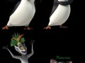 Pingwiny z madagaskaru 