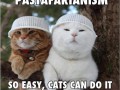 Koty pastafarianie