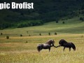 Epic brofist